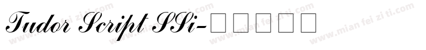Tudor Script SSi字体转换